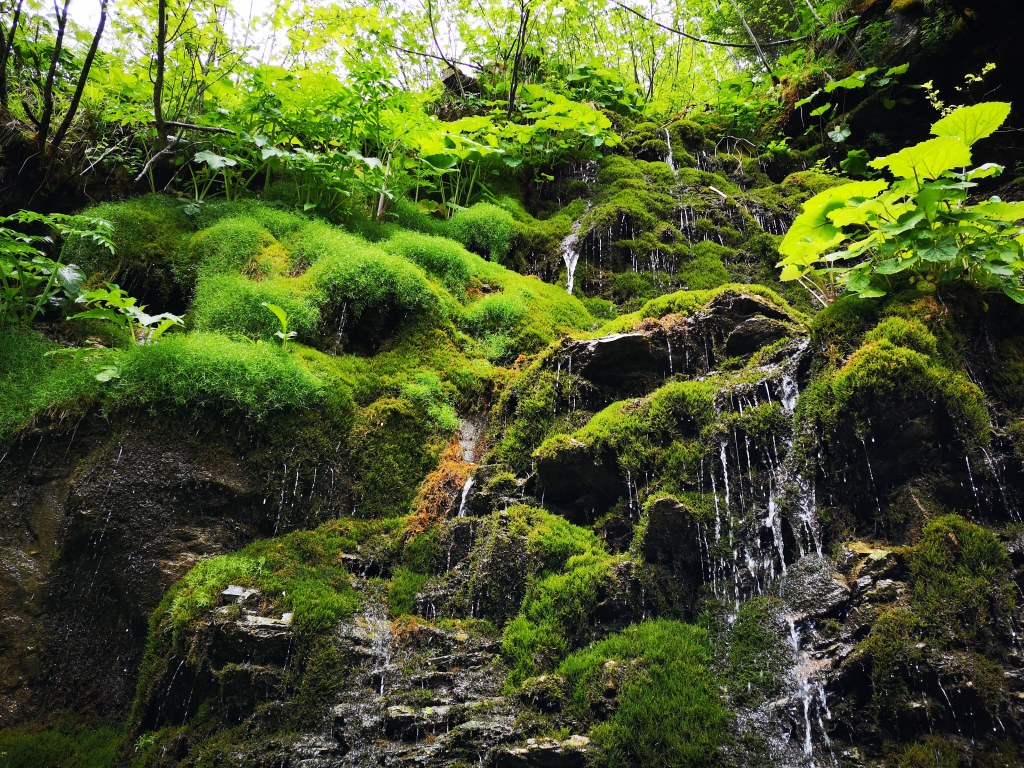 Waterfall @ Petrimanu Lake