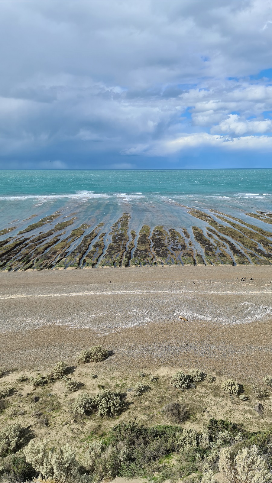 Parador La Elvira, Valdes Pensinsula
