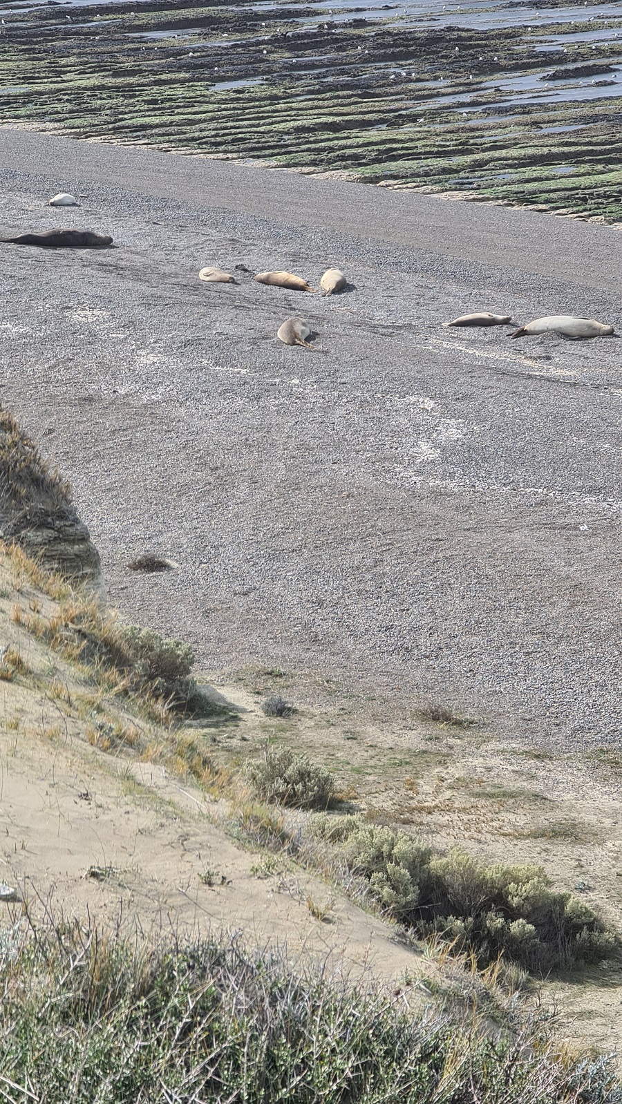 Parador La Elvira, Valdes Pensinsula