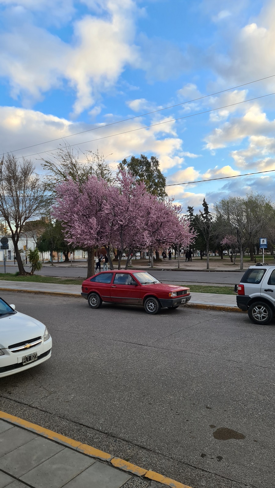 Spring in Trelew