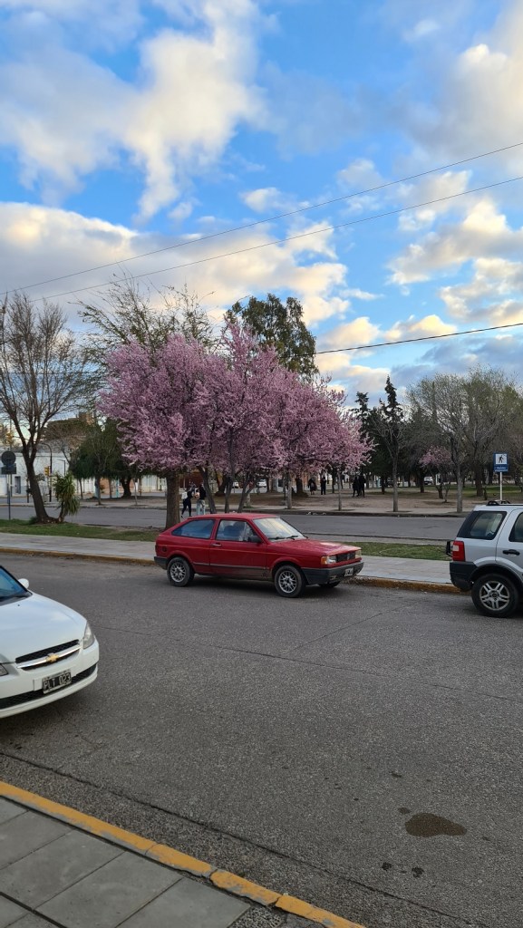 Spring in Trelew
