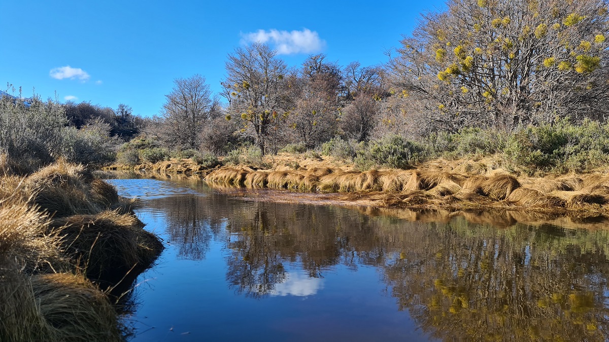 Tierra del Fuego National Park