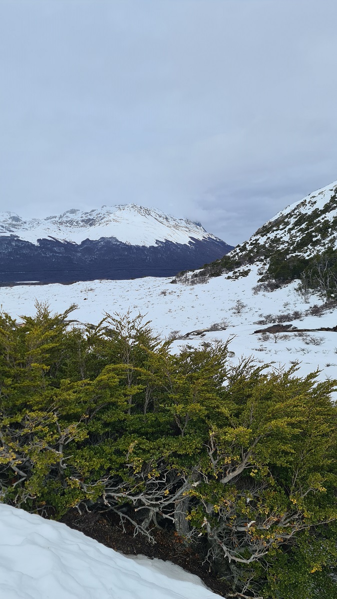Views around Laguna Esmeralda