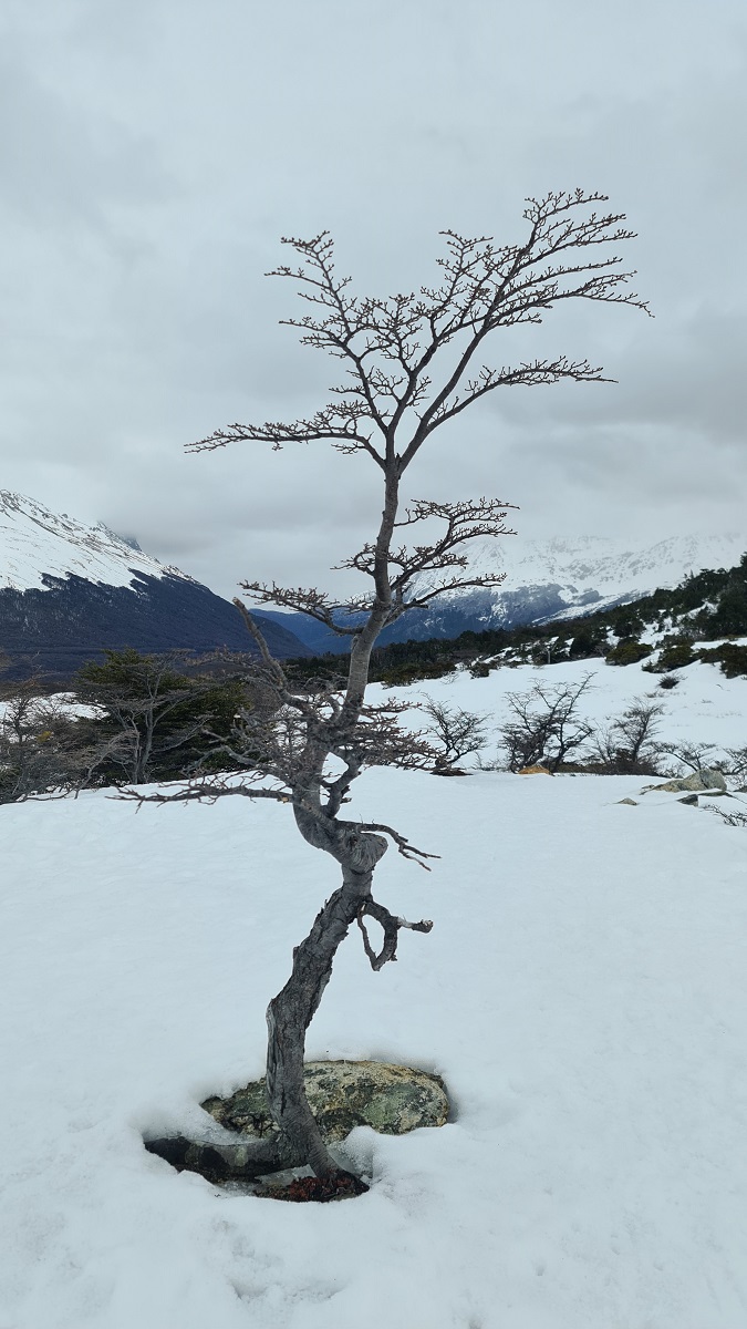 Views around Laguna Esmeralda