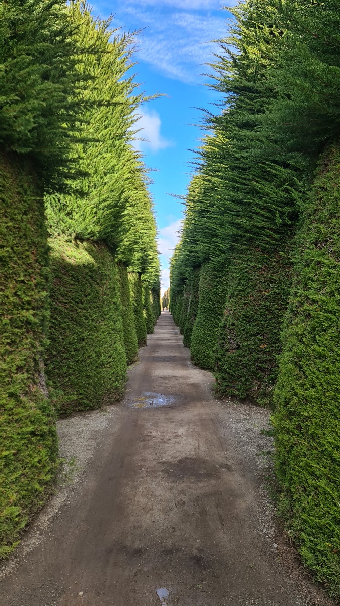 Alley in the Punta Arenas Cemetery