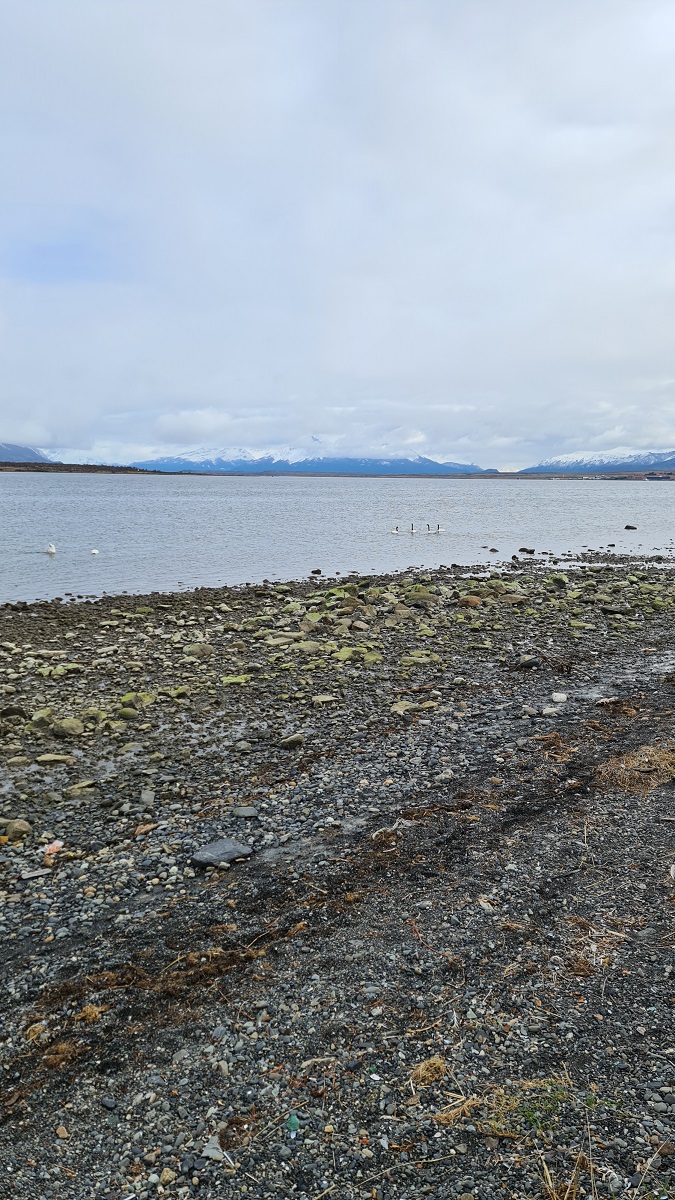 Views from Puerto Natales