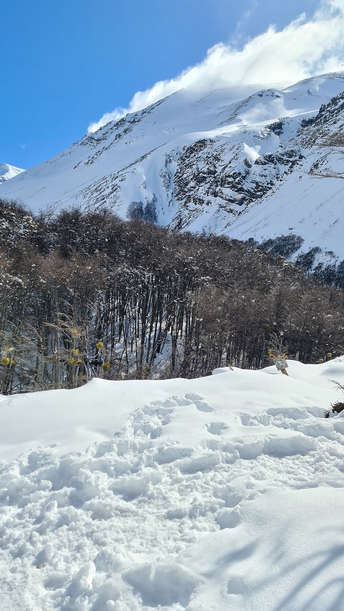 Torres del Paine National Park