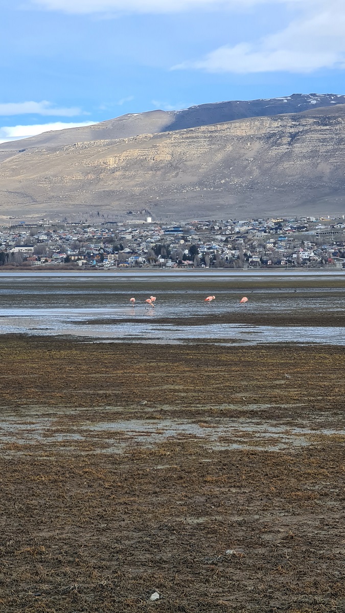 Around El Calafate