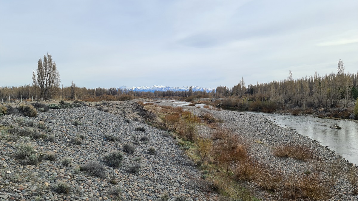 View from Los Antiguos