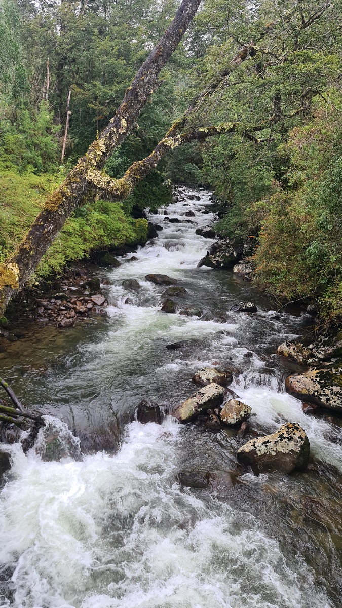 Ventisquero Colgante Glacier