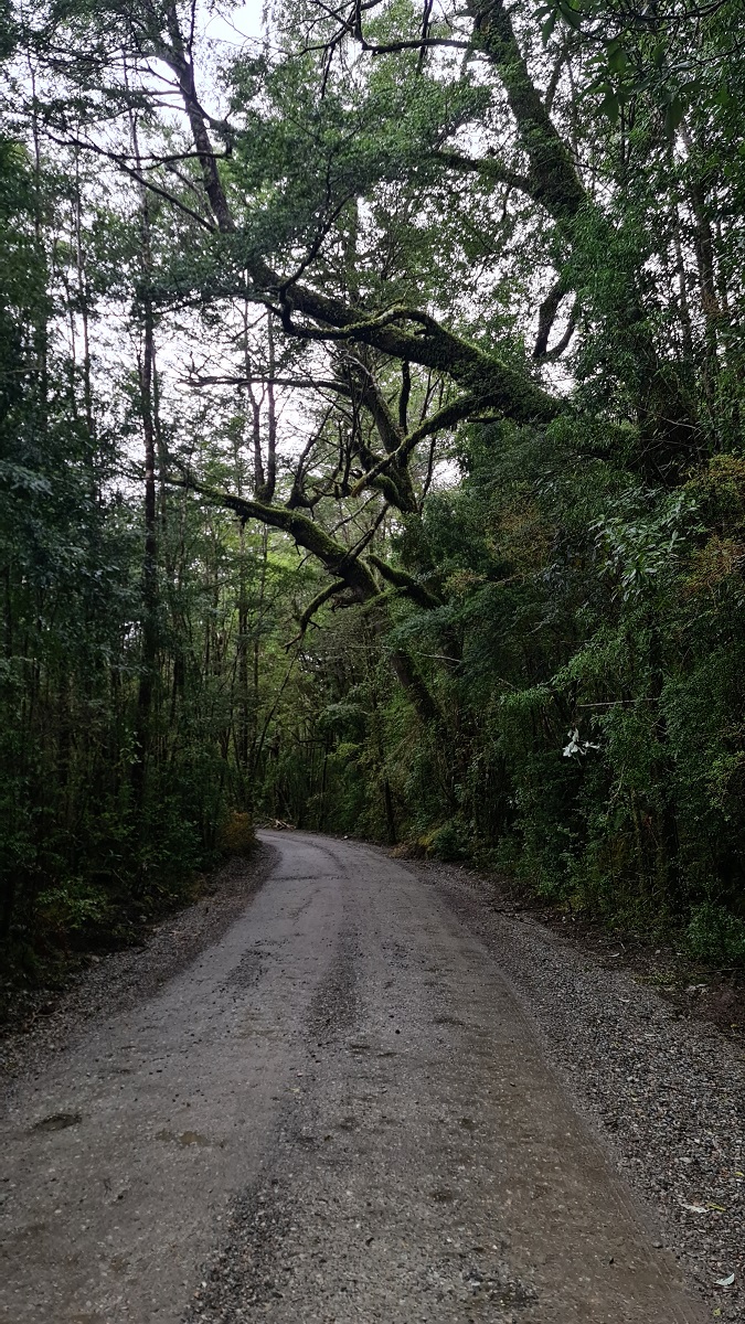 Ventisquero Colgante Glacier