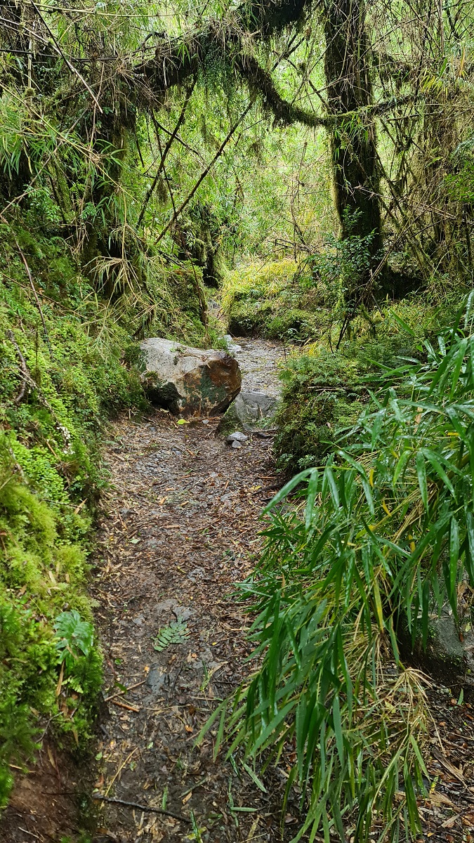 Ventisquero Colgante Glacier